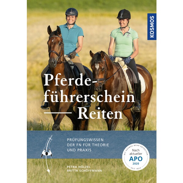 Pferdeführerschein Reiten