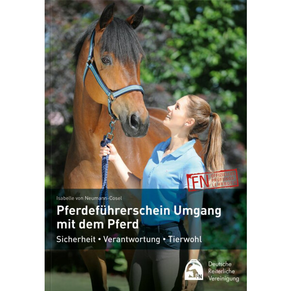 Pferdeführerschein Umgang mit dem Pferd