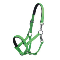 Fohlenhalfter Millie